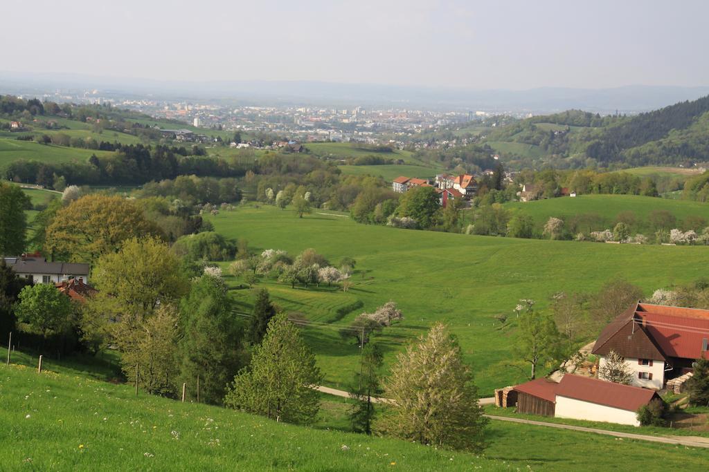 Luxus Appartement Schwarzwald Bei Freiburg 4 Schlafzimmer Sauna Sölden Quarto foto